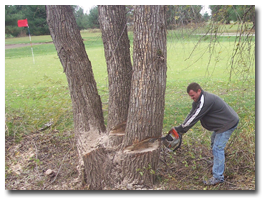 RVG_Grounds_Crew